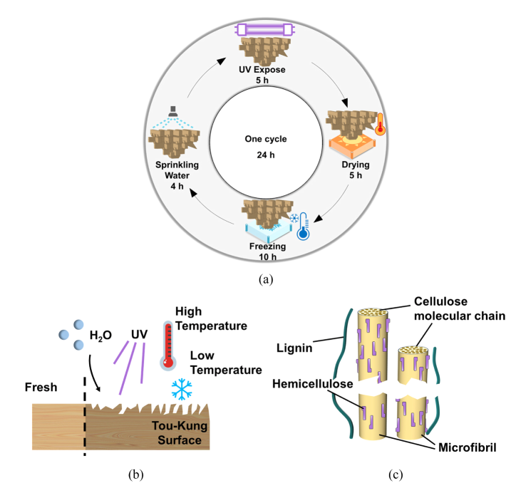 Graphical Abstract